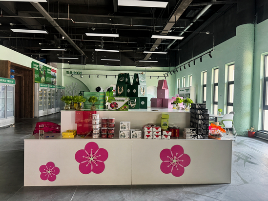农业中关村零号店