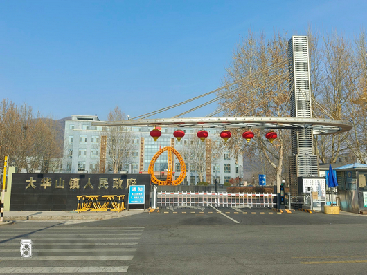 大华山政府